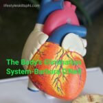 lifestyleskillsphi.com